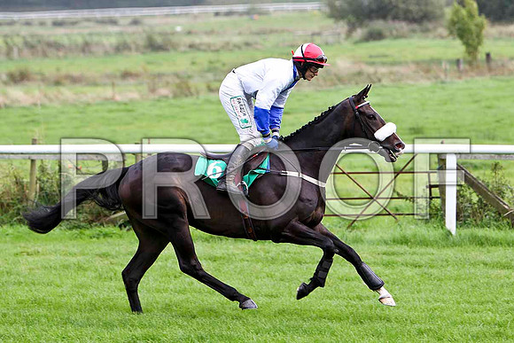 Granaruid , Jockey P Townend - 5th - CU2D2334-e