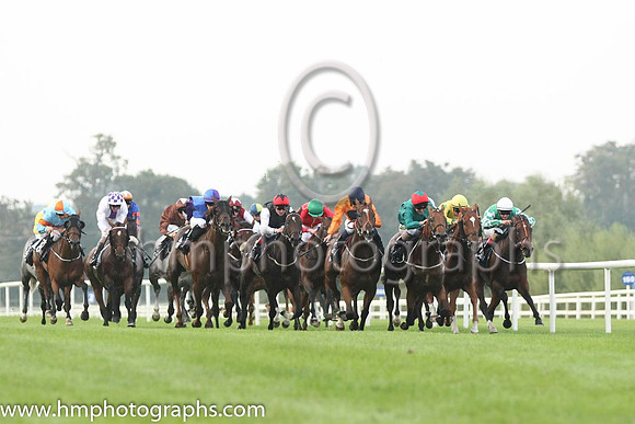 01 Baraweez and C O'Conoghue - - 01st (12 ,orange, dark blue disc ) Trainer - B Ellison
