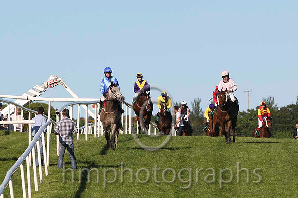 Back to the paddock at Downpatrick Racecourse - FT8E6108-75