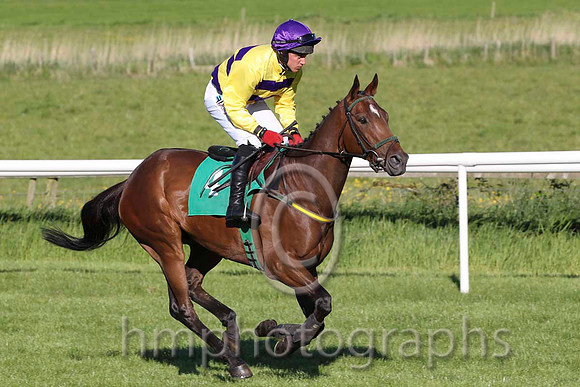 03 My Aya & D J Condon - 3rd (4, yellow and purple hoops) - FT8E6010-5