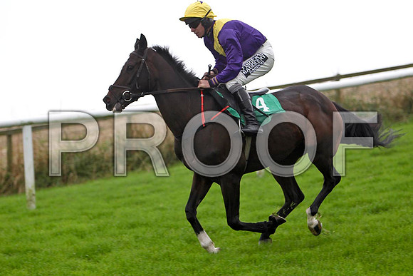 Slow Train Coming , 5th  Jockey P T Enright -  FT8E5136-e