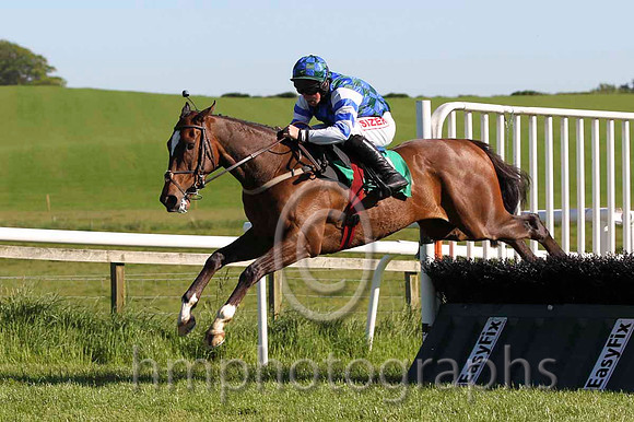 13 Wot a Shot & A E Lynch - 13th (11, dark green and royal blue check)- FT8E5949-Edit-41