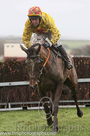 06th F Samophiebell ( 12 , yellow, red cross )  G S Quinn ( Trainer: Colin S McKeever )
