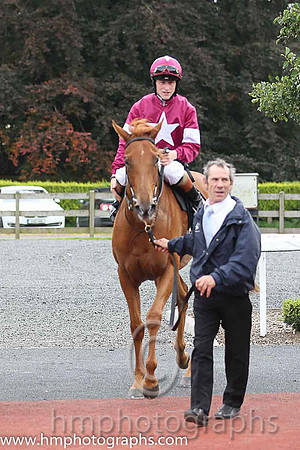 01st Flirt ( 3 , maroon, white star ) and G.P. Halpin (5) - Trainer : David Wachman - Owner : Gigginstown House Stud