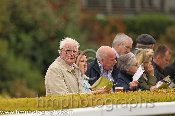 Spectators at Down Royal