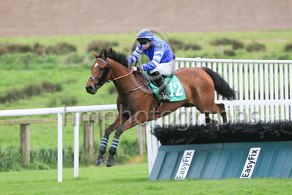 11 Signora Di Milano (12 ,royal blue,oyal blue and white hooped sleeves ), Jockey - P M O'Brien ,Trainer - W Durkan