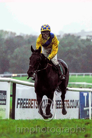 03 Up The Hill & Mr I D Corrigan - 3rd (3, yellow, royal blue sash) - FT8E9291-e2