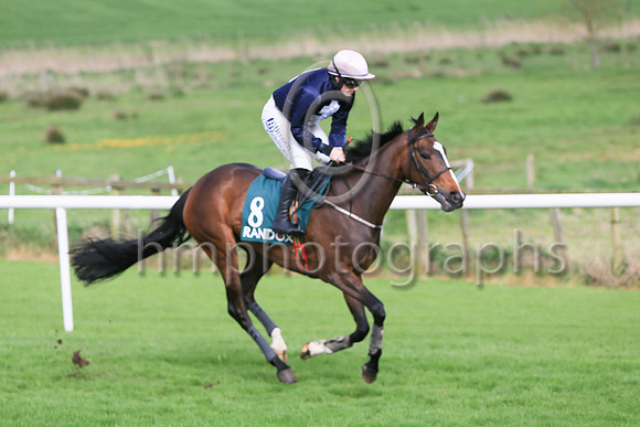 12 Ballinclay Court (8 ,dark blue, white cross ), Jockey - S W Flanagan ,Trainer - N Dooly