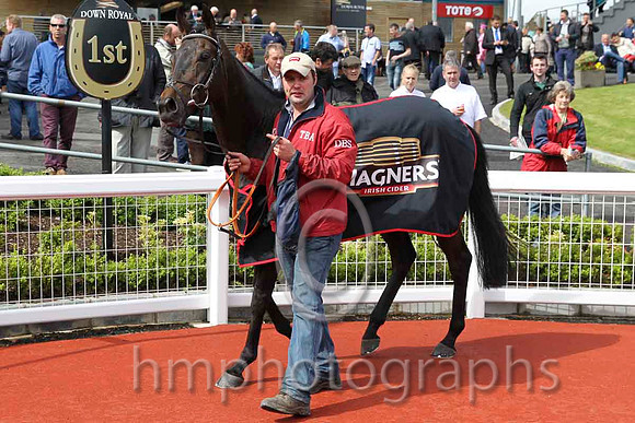 01 Sir Ector & C D hayes - winner (7, pink, dark blue and pink striped cap) - FT8E6363-23