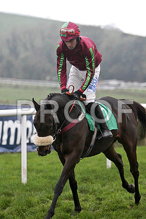 Im An Ace , 4th, Jockey Mr C M Murphy - FT8E5536-e