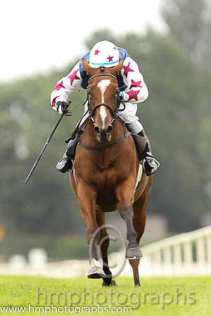 02nd Remarkable Lady ( 11 , dark blue, white star ) and D.M. Grant - Trainer : H.Rogers - Owner : Nap Racing Syndicate