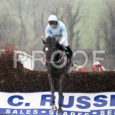 Strolling Home , 3rd - Jockey A P Thornton - FT8E5395-e