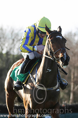 04 Beau Ballistic & R Loughran - 4th (1, royal blue and yellow stripes) - FT8E1169-49