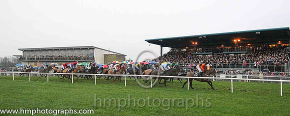 The Bet with the Tote Flat Race at Down Royal on Boxing Day
