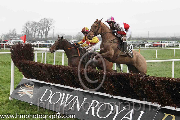 09th Archview Sunshine ( 15 , red and white qtrd ) and N. Gault (7) - Trainer : Mrs Holly McGahan - Owner : Mrs Holly McGahan