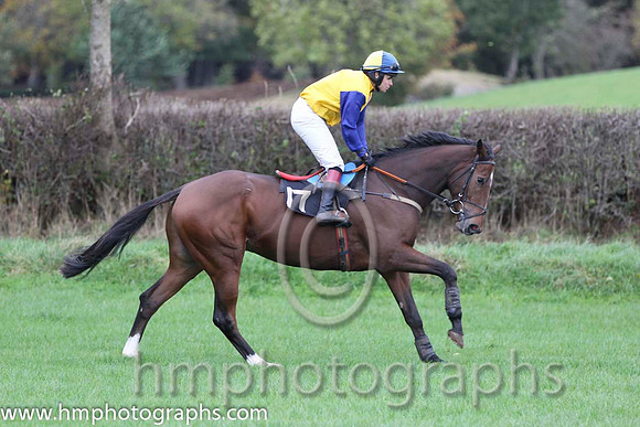 06 Mr Picotee & Paul Power - 6th (17,yellow, red diamond ) - FT8E9350-16