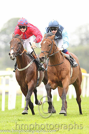01st Downforce ( 2 , dark blue, light blue stars ) and D.P. McDonogh - Trainer : W. McCreery - Owner : Mrs A.M. Burns