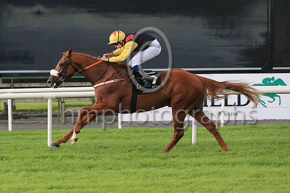 01st The Tartan Spartan  Ronan Whelan (7, black, red epaulettes) Trainer John Patrick Shanahan, Owner Thistle Bloodstock Limited