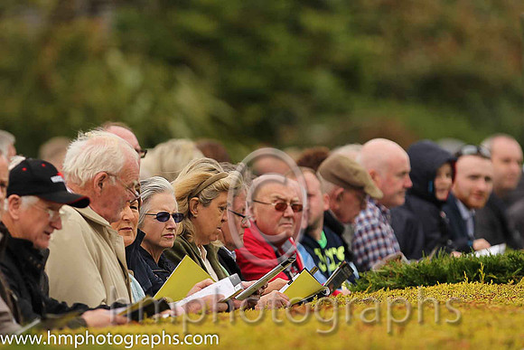 Spectators at Down Royal