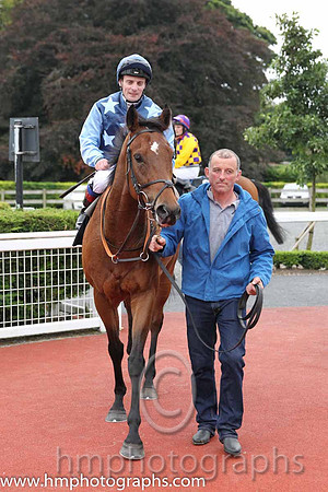 01st Downforce ( 2 , dark blue, light blue stars ) and D.P. McDonogh - Trainer : W. McCreery - Owner : Mrs A.M. Burns