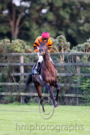 Windsor Pride & C D Hayes - Winner (12, Orange, Black star) - CU2D3376-e