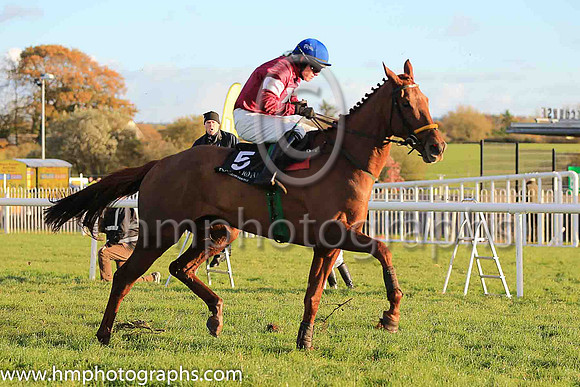 06th Net D'ecosse and Paul Townend ( 5 , maroon, white star, blue cap) Trainer - N Meade , Owner - Gigginstown House Stud