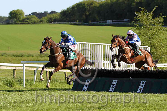 13 Wot a Shot & A E Lynch - 13th (11, dark green and royal blue check) - FT8E5905-13