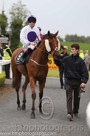 09th Our Manekineko (GB) ( 9 , white, purple disc ) and P.J. Smullen - Trainer : J.A. Nash - Owner : Purple Haze Partnership