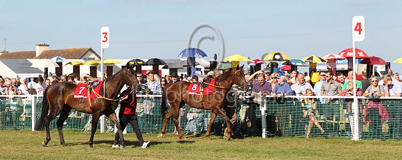 10  Ellell Duke & E J McNamara - 10th (7, white, royal blue star) & Jembatt & C D Hayes - 4th (8, orange, white braces )- CU2D0735-5