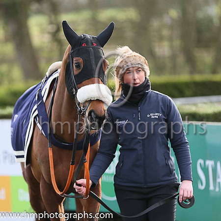 04 Tocororo ( 8 , maroon, white hoop ) and B.J. Cooper - Trainer : Gordon Elliott - Owner : Gigginstown House Stud