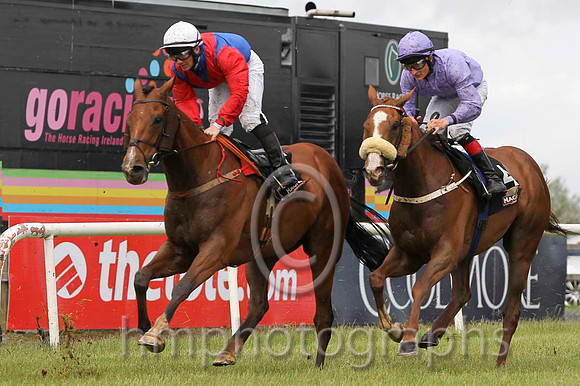 08 Aladdins Cave & G F Carroll - 8th (6, royal blue, red chevron) & 09 Paddy The Celeb & S Foley - 9th (4, mauve) - CU2D8052-12