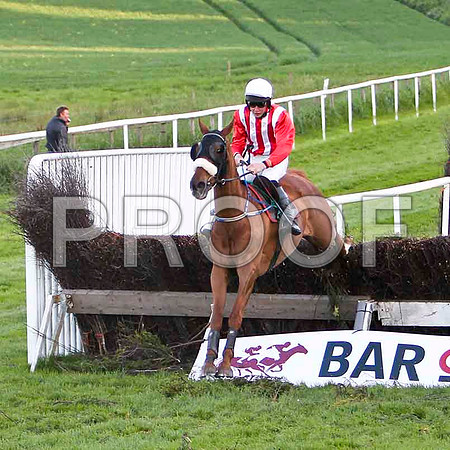Arc of Stone , 8th, Jockey - Mr G B Watters - FT8E3226-e