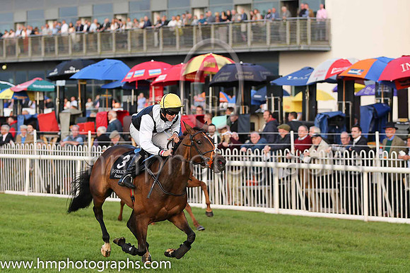 01st Duckweed (3, black and white diabolo,white sleeves, yellow cap) and Mark Bolger, Trainer Mrs John Harrington, Owner Kieran Guinness