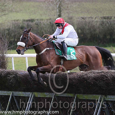 ISKABEG LANE and J J Codd ( 2 , WHITE,red sash; white, plain sleeves; red cap,white diamond ) Trainer: Denis Paul Murphy,, Owner : Thomas O'Sullivan