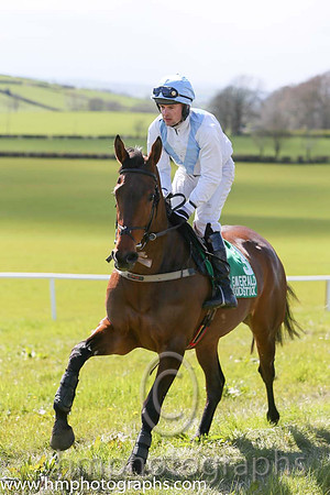 02nd ALMOST THERE and M J O'Hare ( 3 , WHITE,light blue chevron; white sleeves; light blue cap ) Trainer: J.G. Cosgrave,, Owner : J.G. Cosgrave