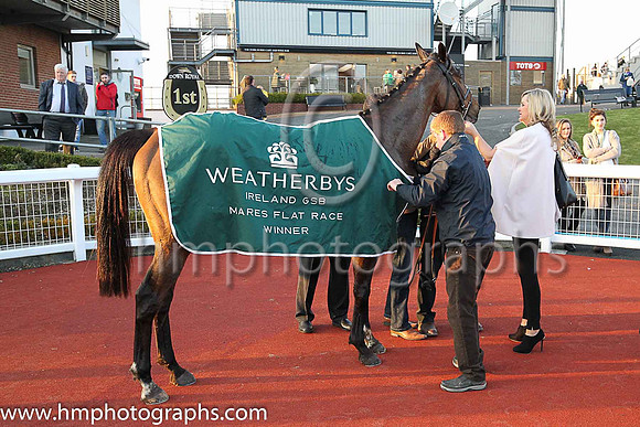 01st Dixie Lee ( 1 , pink, white hoop, blue cap ) and M.J. O'Hare (5) - Trainer : Dermot Anthony McLoughlin - Owner : Mrs.P.J.Conway