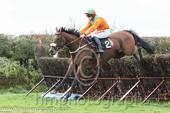 01 The Last Derby & R James - Winner (2, tangerine, green chevrons) - FT8E8396-4