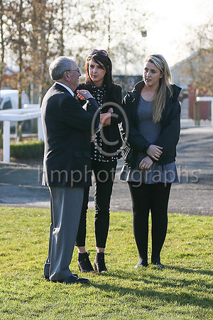 Parade Ring at Down Royal