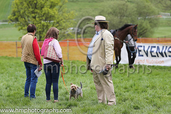 The Fermanagh Harriers Hunt Club P2P at Necarne