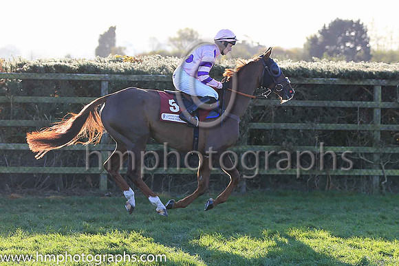 02nd Silviniaco Conti and N D Fehily ( 5 , pink,large purple spots ) Trainer - P F Nicholls , Owner - Chris Giles  Potensis Bloodstock Ltd