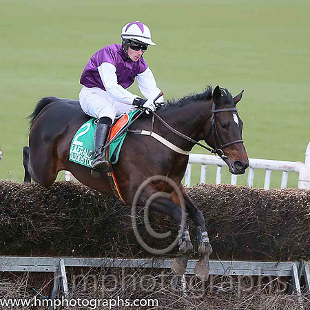 BEECH HILL and L O'Carroll ( 2 , PURPLE; white sleeves; white cap,purple star ) Trainer: Neil McKnight,, Owner : Richard Lennon