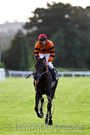 Windsor Pride & C D Hayes - Winner (12, Orange, Black star) - CU2D3482-e2