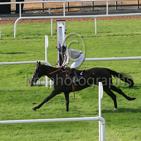 01st Dovlator and P.J. O'Hanlon(2) (4 ,beige, blue seams ), Trainer:Dermot Anthony McLoughlin , Owner:Mrs Fidelma Toole