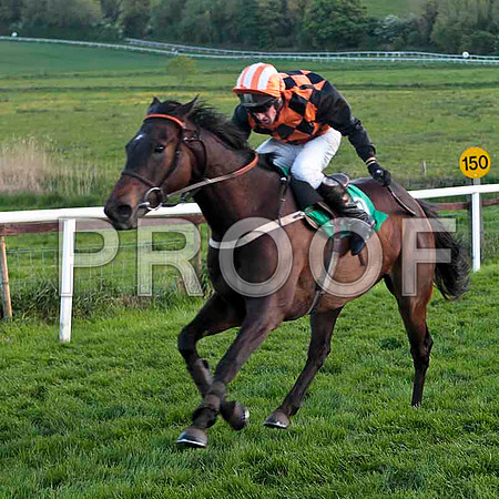 Classic Magic , 4th, Jockey Mr P G Murphy - CU2D9338-e