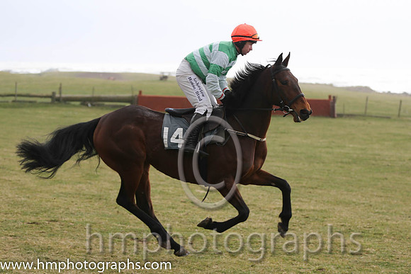 05th Putrakin ( 14 )  J P McKeown - Trainer: W Newman - green and white hoops