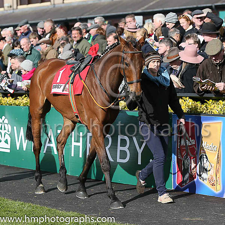 01st CARLINGFORD LOUGH ( 1 , emerald green and orange hoops ) and Barry Geraghty - Trainer : John E Kiely
