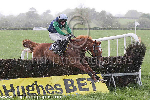 01st Bridge of Spies (10, navy, green star)  N McParlan