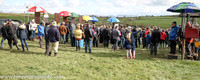 2016/04/16th - Race 5 Loughbrickland P2P
