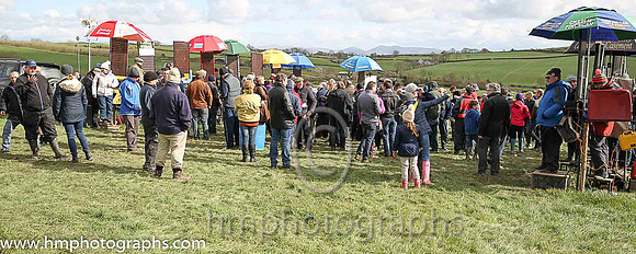 Point to Point Racing at Loughbrickland