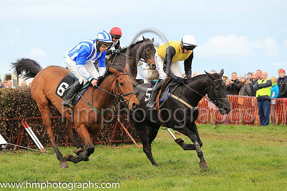 NETTLEBUSH and D G Lavery ( 5 , YELLOW; black sleeves; white cap ) Trainer: Rodney Ian Arthur,, Owner : Houston N.  A.